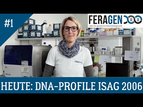 FERAGEN ERKLÄRT - Teil 1 - DNA-Profile ISAG 2006