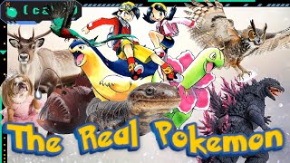 The Real Pokémon - What All of the Johto Pokémon Are Based On From Gold & Silver