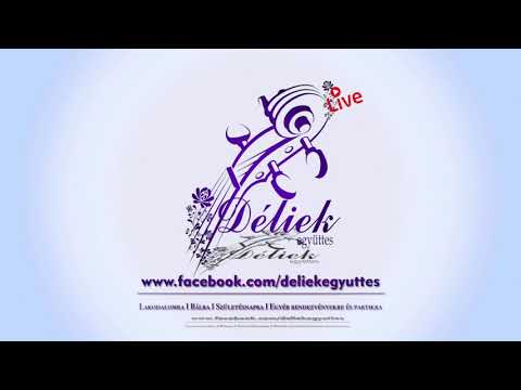 Nyerges Ármin & Déliek együttes - Intro Begin - Balaton Retro - Gröbenzell - 2019 - LIVE