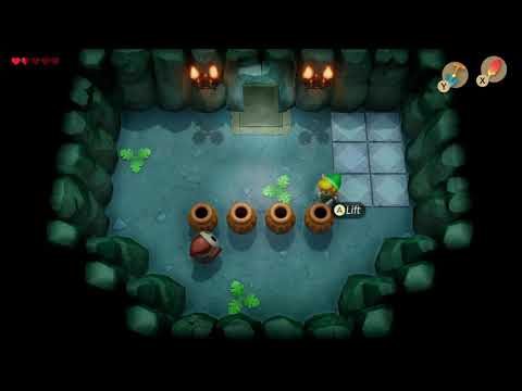 Link’s awakening has shy guys