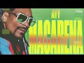 Tyga Ayy Macarena Remix Ft Snoop Dogg Official Audio Prod By JAE