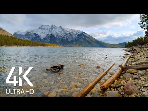 8 HRS Soothing Sounds of Canadian Mountain Lakes - White Noise of Lake Waves with Birds' Chirping