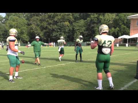 Inside the Tribe with Trevor Andrews