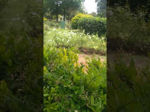 Parque Chacabuco Caba bs as hermoso lugar