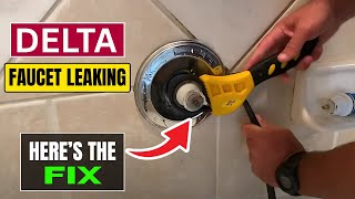 How to Fix a Leaking Delta Shower Faucet |