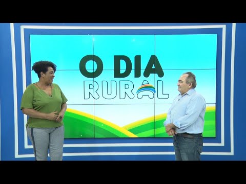 Diretor da Emater fala sobre açoÌƒes e projetos em comunidades rurais do PiauiÌ 25 09 2021