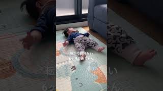どこまでも転がり続けたい赤ちゃん#shorts #オーストラリア #赤ちゃんのいる生活 #赤ちゃん #寝返り #6ヶ月ベビー