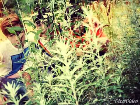 Infinite "Reality" story