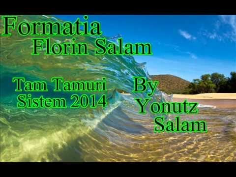 Alex Carnat - Tam Tamuri Sistem 2014 ( By Yonutz Salam )