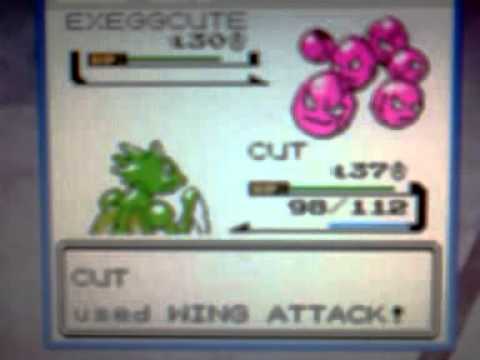 September 7, 2012 1:36 AM