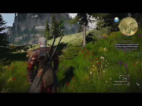 The Witcher 3 - To Bait A Forktail: Find Eskel: Follow Horse Tracks & Examine Area Gameplay PS5 4.0