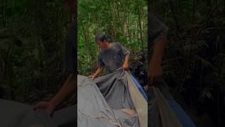 Download lagu Survival camping mp3