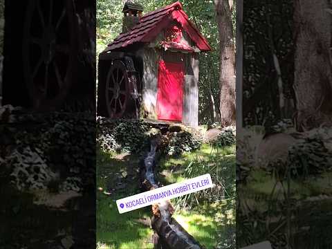 ORMANYA Hobbit Evleri, Hayvanat Bahçesi, Kartepe Kocaeli - Haldun Öztürk ile Yol Macerası 13