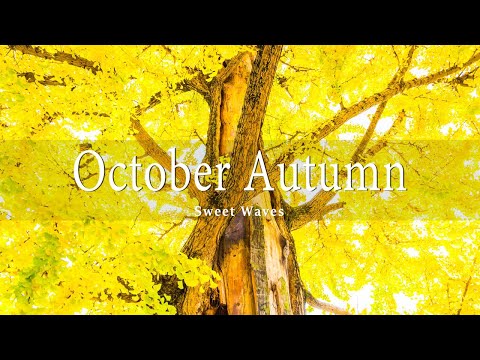 11 HRS Incredible Fall Foliage - Best 4K Autumn Nature Scenes from Around the World + Calming Music