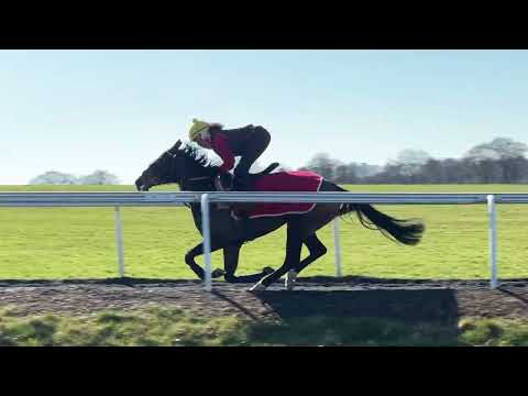 Syndicate Stable Visits with Charlie Fellowes and Harry Eustace