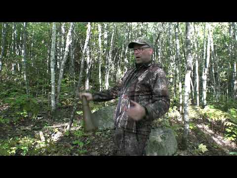 Moose Calling: The Most Common Mistake to Avoid