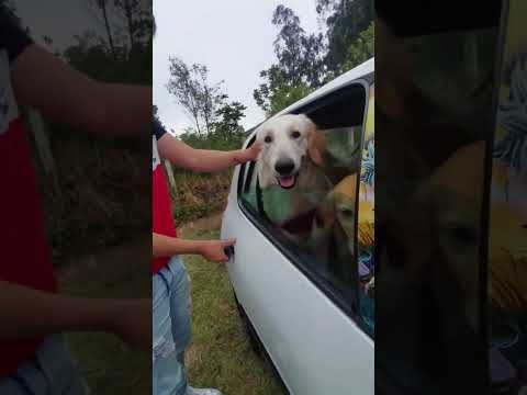 Lago San Pablo por la Carretera Antigua Imbabura - Pichincha 🐾 | Ecuador Parte 1
