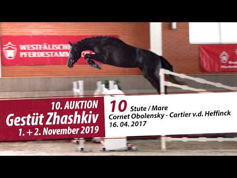 10 Stute / Mare v. Cornet Obolensky - Cartier v.d. Heffinck