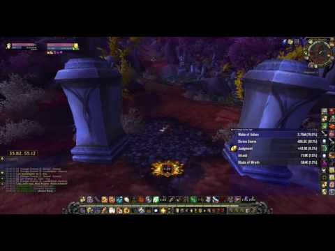 Lady Liadrin Paladin Follower WoW Blood Vanguard Ability