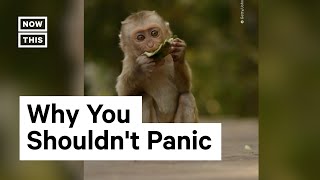 What We Know About Monkeypox