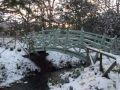 Snow In Marlay Park Dublin November 2010