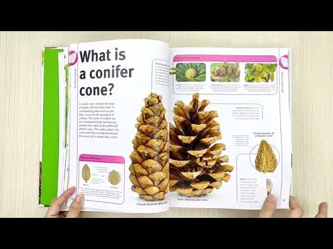 DK Our World in Pictures Trees, Leaves, Flowers & Seeds