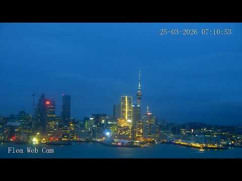 Auckland Harbour Sky Tower