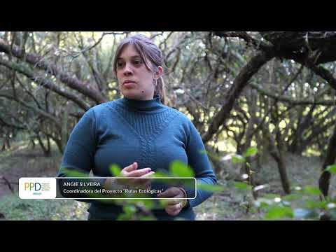 Proyecto PPD: "Rutas Ecológicas" - Quebradas del Norte (Tacuarembó) - 2022