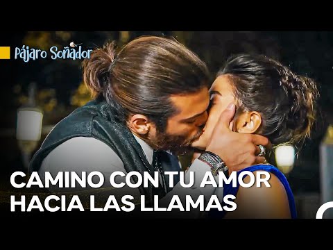 No Puedo Resistir Tu Encanto - Pájaro Soñador