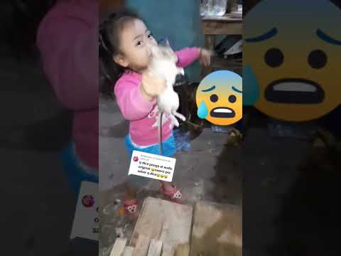 INCREIBLE NIÑA ATRAPA RATA GUGANTE CON SUS MANOS 😱😱 #viralvideo #viralshorts #ratas #shortvideo