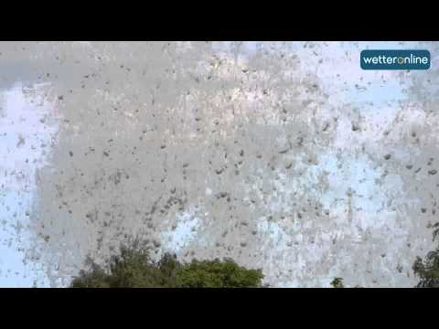 wetteronline.de: Riesiger Staubteufel (16.06.2015)