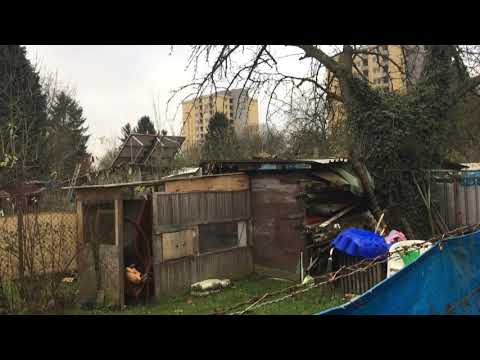 my fechenheim guided tours - EP 03 schrebergärten