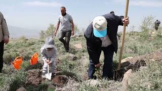 ALİ DAĞININ ZİRVESİNE 1111 FİDAN