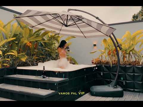 Treizy - LA GATA (Video Lyrics) #climax 