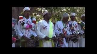 Sven Kacirek — Paperflowers (Official Video)