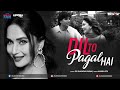 Dil To Pagal Hai DJ Shadow Dubai Remix BOLLY RAVE Desilicious 100 2020