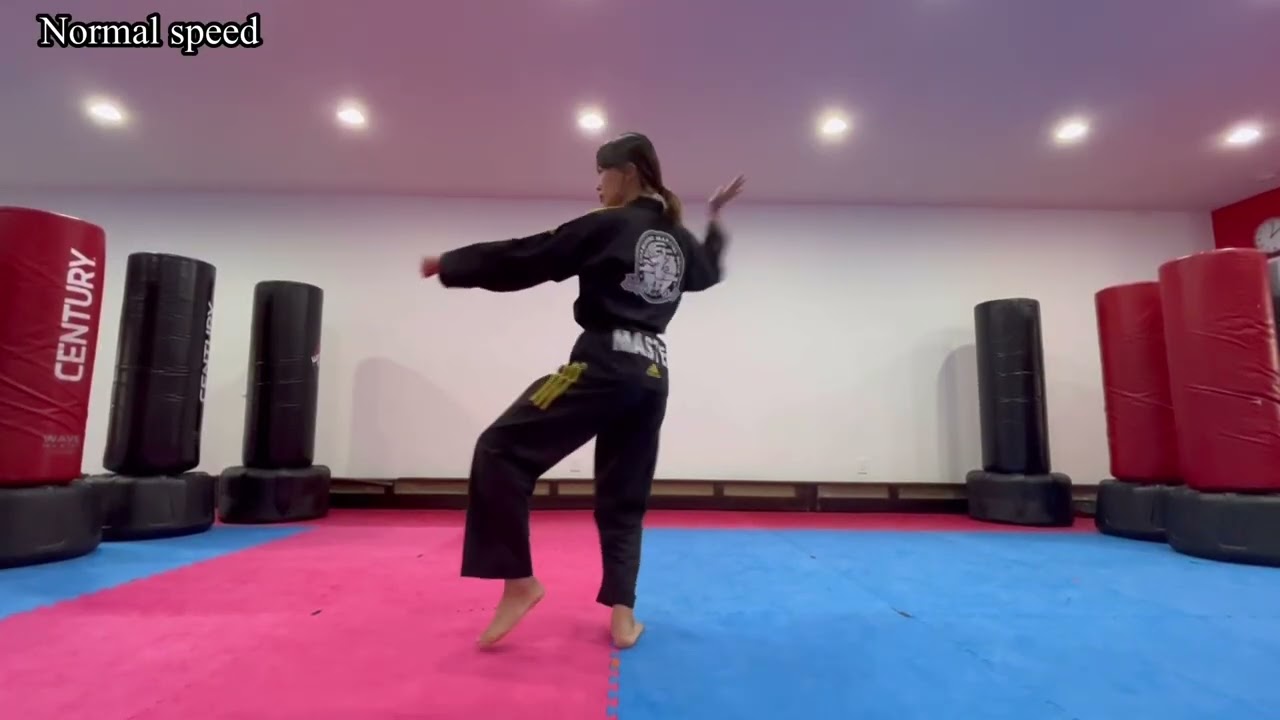 Purple tip belt/ Taeguek 7 / Poomsae / Form / Tutorial