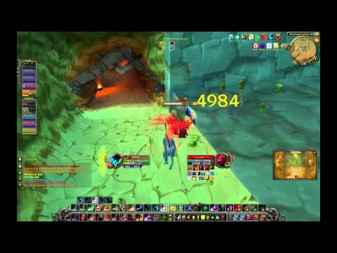 Gladiator Miirkat - Random Flag Fight