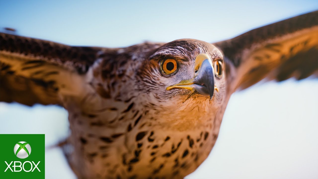 YouTube video: YouTube video player