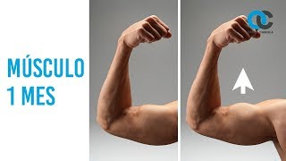 ¿Cuánto músculo puedes ganar en un mes?