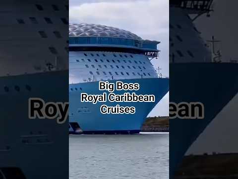 Thumbnail for 🤠🚢Utopia Of The Sea | Royal Caribbean Cruiseline