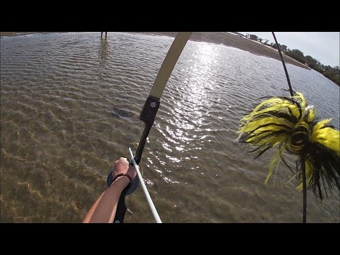 Bowfishing Stingrays