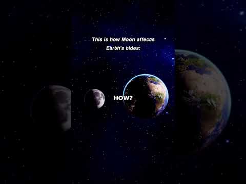 How Does the Moon's Gravity Create Ocean Tides? | #astronomy