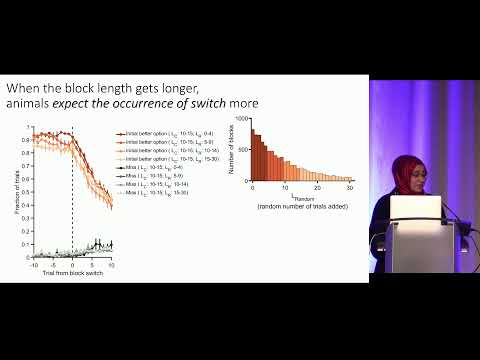 COSYNE 2020 - Session 3 | Learning to decide