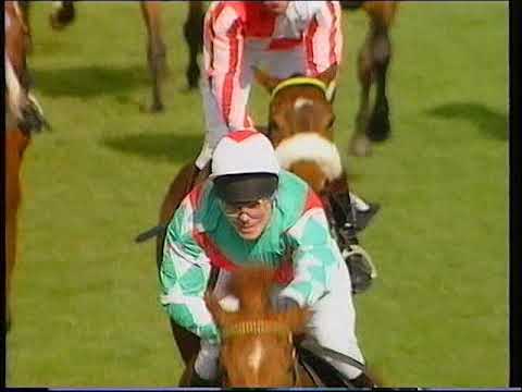 1994 Triumph Hurdle  Mysilv Includes Replay Analysis & Enclosure
