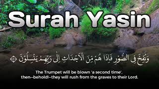 Download lagu Calming Quran Recitation | Surah Yasin Murottal Syahdu for A Calm Mind mp3 Download lagu Calming Quran Recitation | Surah Yasin Murottal Syahdu for A Calm Mind mp3