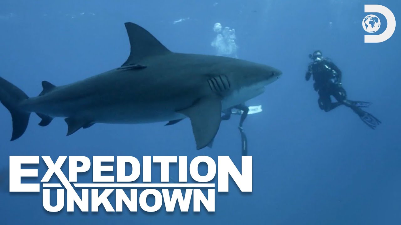 Thumbnail Download HD Thumbnail (1280x720)