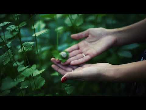 Nazira in the forest