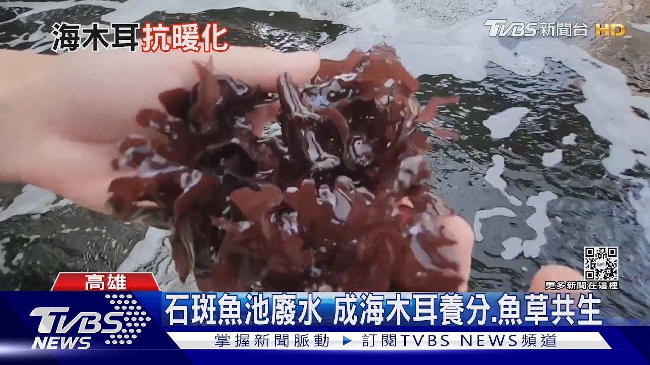 固碳高手是「它」　固碳率是大安森林公園的兩倍