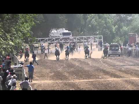 CHAU TU PLATA. Vista Alegre 03/11/13